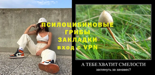 таблы Тайга