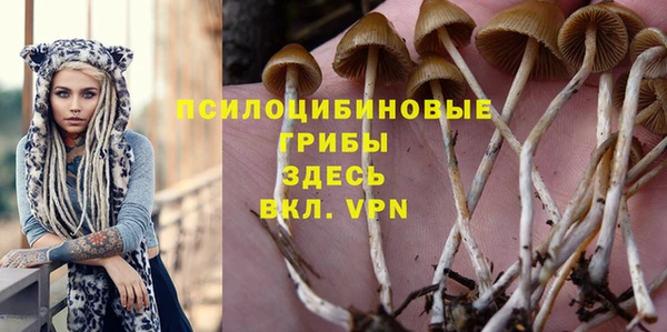 стаф Володарск