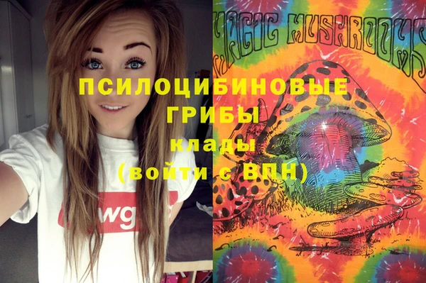 стаф Володарск