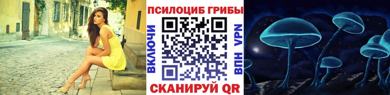 наркотики Вуктыл Псилоцибиновые грибы Psilocybine cubensis